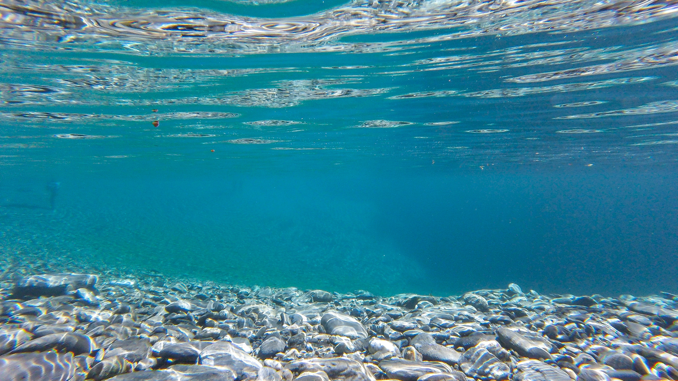 Removing 1,4-Dioxane with Ozone Technology in Industrial Water Treatment