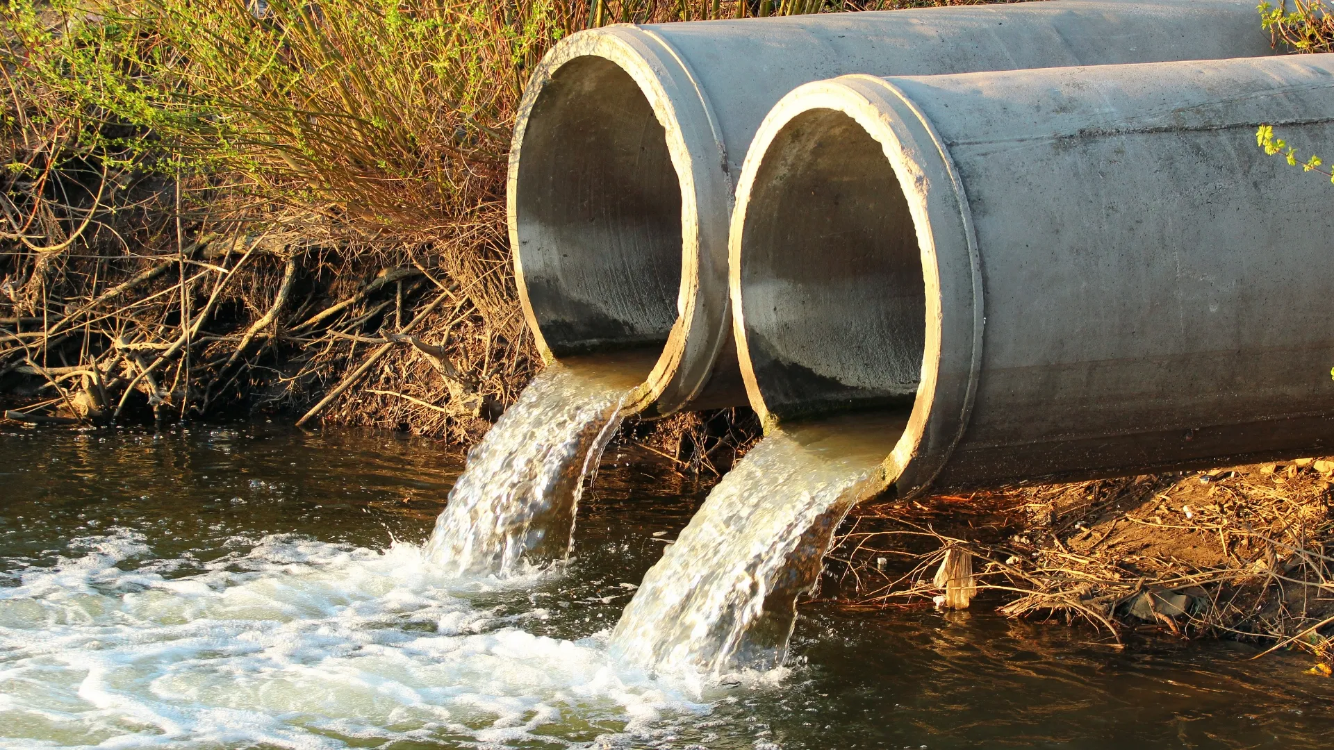 Ozone and Wastewater Resilience: Engineering Treatment Systems for Sewage-Impacted Waters